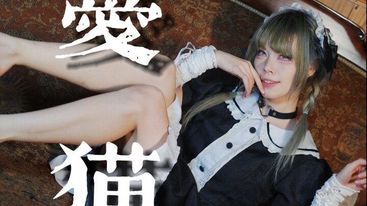 【Zhi Qiu】Cinta Kucing♥ (versi kakumi)