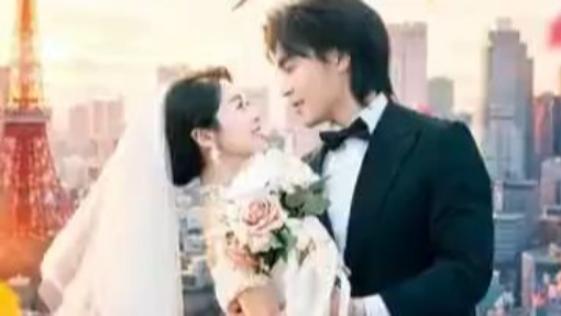 My Boss And I Got A Marriage Certificate | 我和上司有本结婚证