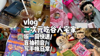 vlog*二次元吃谷人宅家拆快递/包包挂件/芭比水杯/盲抽初音玩偶/写手帐日常