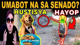 KAKAPASOK LANG Killua Golden Retriever "Ginawa Ko Lang ang Nararapat" reaction video