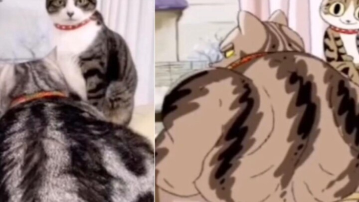 สมจริงมาก! สมจริงสุดๆ!!