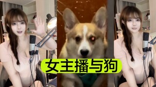 女主播下播生活vlog