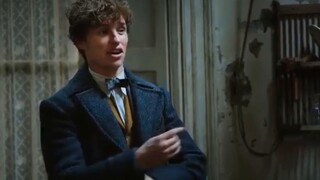 Kumpulan highlight Fantastic Beasts dan Where to Find Them 2 [termasuk ortopedi]