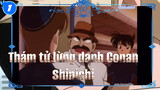 Thám tử lừng danh Conan
Shinichi_1