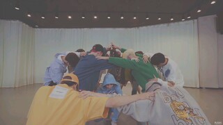 Seventeen - Snap Shoot (Choreography Video with Lyrics🐼)