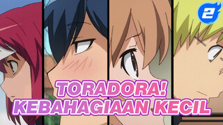 [Toradora! AMV] Kebahagiaan Kecil_2