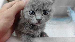Went to the clinic today!