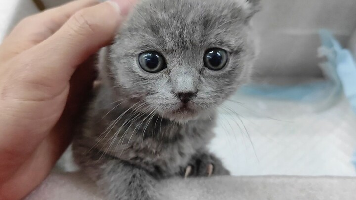 Went to the clinic today!