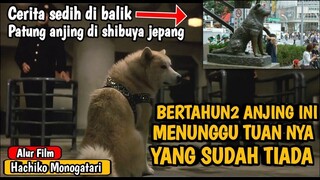 KISAH ANJING PALING SETIA DI DUNIA