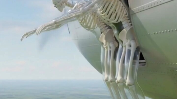 Mereka mendorong sepasang kembar identik dari ketinggian 30 ribu kaki.