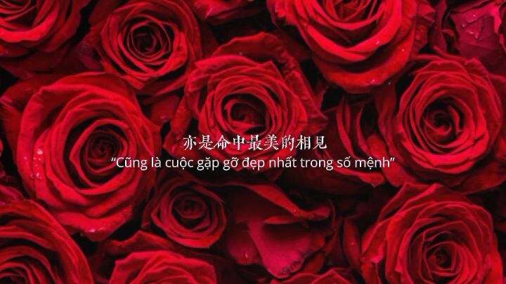hoa đẹp nhưng có gai