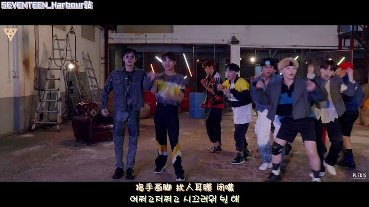 [ترجمة SVT_Harbour الصينية] 200719 [فيديو خاص] SEVENTEEN - Left & Right Shining Part Switch