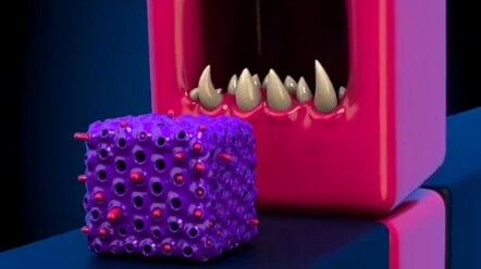 Kakak Kotak Makan Virus untuk Melepas Stres.