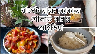 শখের বাগানের সব্জি তুল্লাম আর রাঁধলাম || টমেটো সংরক্ষন পদ্ধতি ll Ms Vlog ll