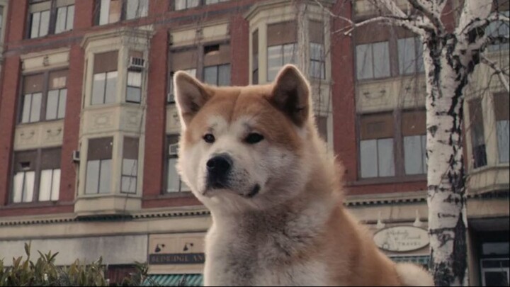 Hachi: A Dog's Tale - 2009