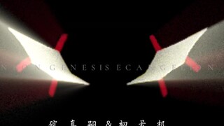 “关于EVA的眼睛”