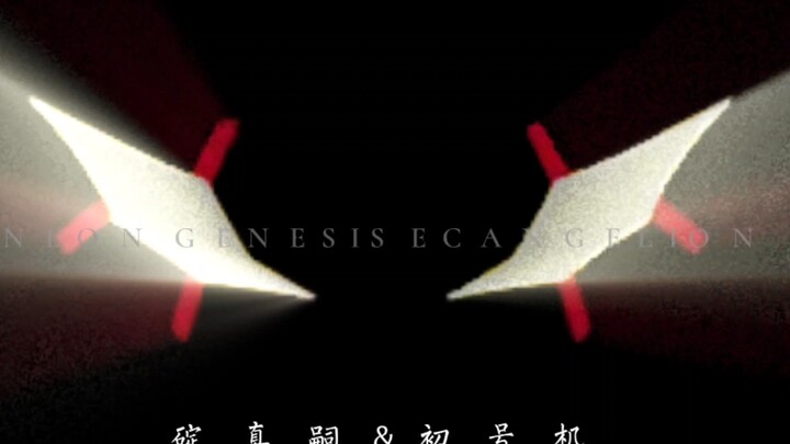 “关于EVA的眼睛”