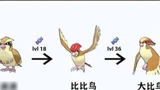 Pure useful information is coming, it is recommended to collect! The evolution process of all Pokémo