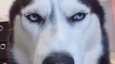 Sudah seperti ini kamu masih belum puas?