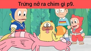 Trứng nở ra chim gì p9