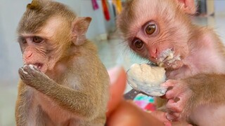 Baby Toto & Yaya really love to eat porridge so much