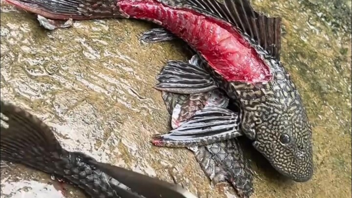 The Scavenger: This is even tougher than King Yama!