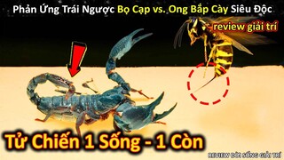 Những Hiện Tượng Khó Lý Giải Cực Đáng Sợ Của Các Động Vật Tự Nhiên P1 || Review Giải Trí Đời Sống