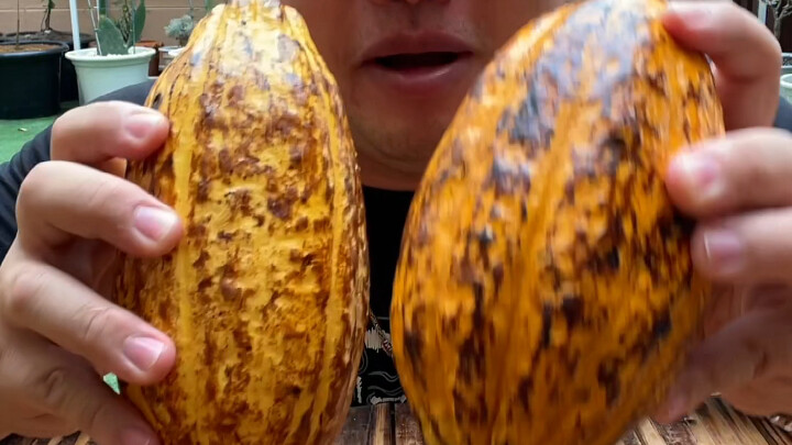 Thai Cuisine: The Magical Month-Long Process of Crafting Chocolate from Cacao Beans by Hand