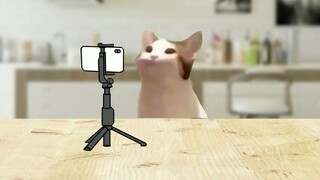 天呐，好孤单，好寂寞，好想找对象