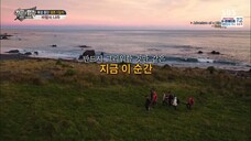 Law of the Jungle in Wild New Zealand Part 1 [1] SUB INDO