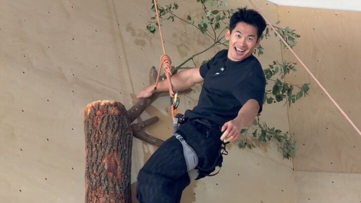 تسلقت شجرة حقيقية بارتفاع 17 مترًا!