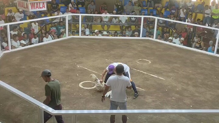 loss (Meron)@ MDB cockpit