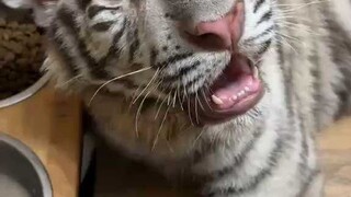 每次喝点啥非弄一地就满意了