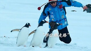 原来日久真的可以生情，看完我又相信爱情了