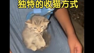 猫妈：啊？我也要吗？