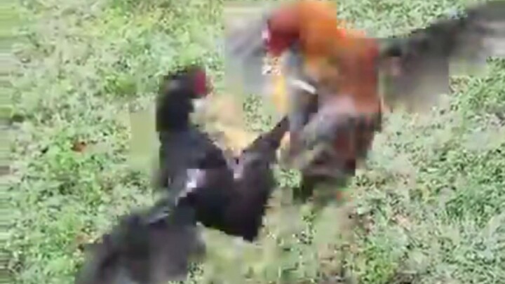 Newly Awakened Dancer.