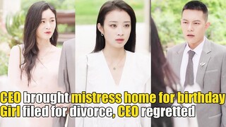 CEO brought mistress home for birthday to make girl jealous, she filed for divorce，CEO regretted！