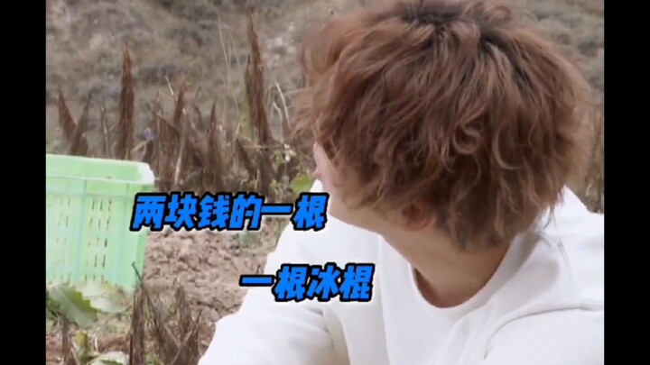 Wang Mian: You nag too much, I hate it!