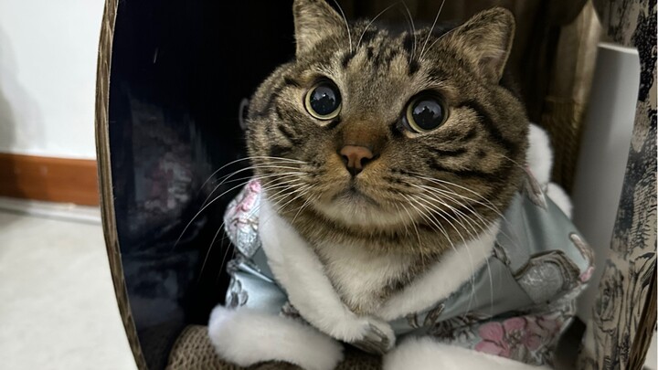 臭卷宝的特殊癖好