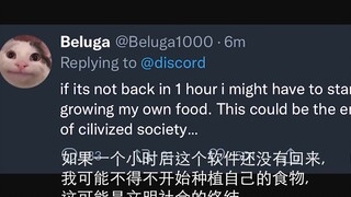 [Beluga和他的小伙伴]迪斯科还是麦当劳 这是个问题....