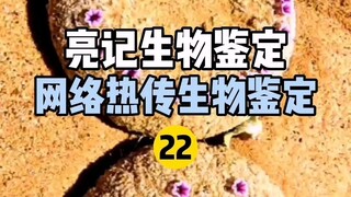 【Liangji Bioassay】الاختبار البيولوجي الأكثر رواجًا على الإنترنت 22