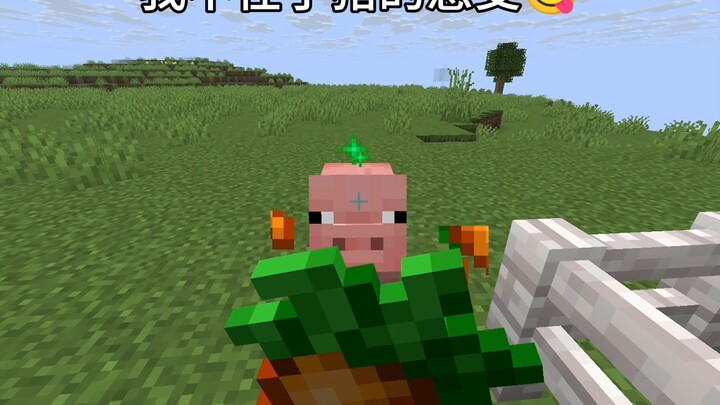 [Minecraft] Aku Tidak Peduli Perasaan Babi