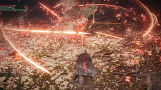 【Ayrden's Circle】การวางตำแหน่งคือศิลปะและความสง่างามไม่เคยล้าสมัย - การรีเซ็ต 4K ของวาลคีเรียที่ต้อง