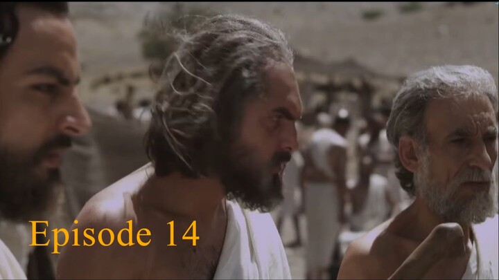 Omar 14