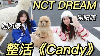 《إعادة إنتاج MV CANDY》/تساقط الثلوج في الجنوب!!!