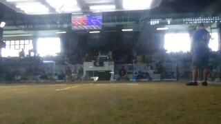 DRT Binan 2nd fyt