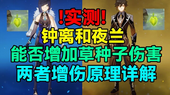 Tested: Can Zhongli and Yelan Boost Elemental Burst Damage on Electro-Charged Fields? A Deep Dive in