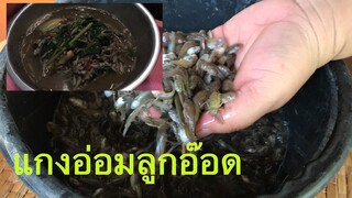 แกงอ่อมลูกอ๊อดแกงอ่อมฮวก เมนูสุดยอดของอีสานของอร่อยที่ใครๆก็อยากชิมราคาไม่ธรรมดาด้วยนะ!!!