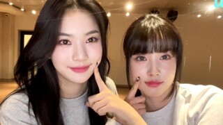 STAYC直播跳GIDLE NXDE +LESSERAFIM+NMIXX！奶味蓝副会长上线！