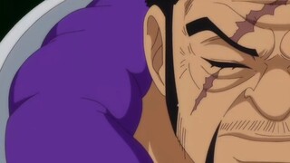 Fujitora really hoped to see Luffy regretting losing his eyes a little.